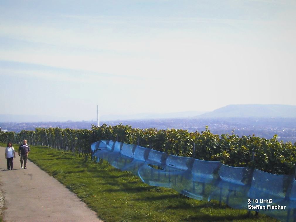 Aussichtspunkt Burgholzhof Plattform