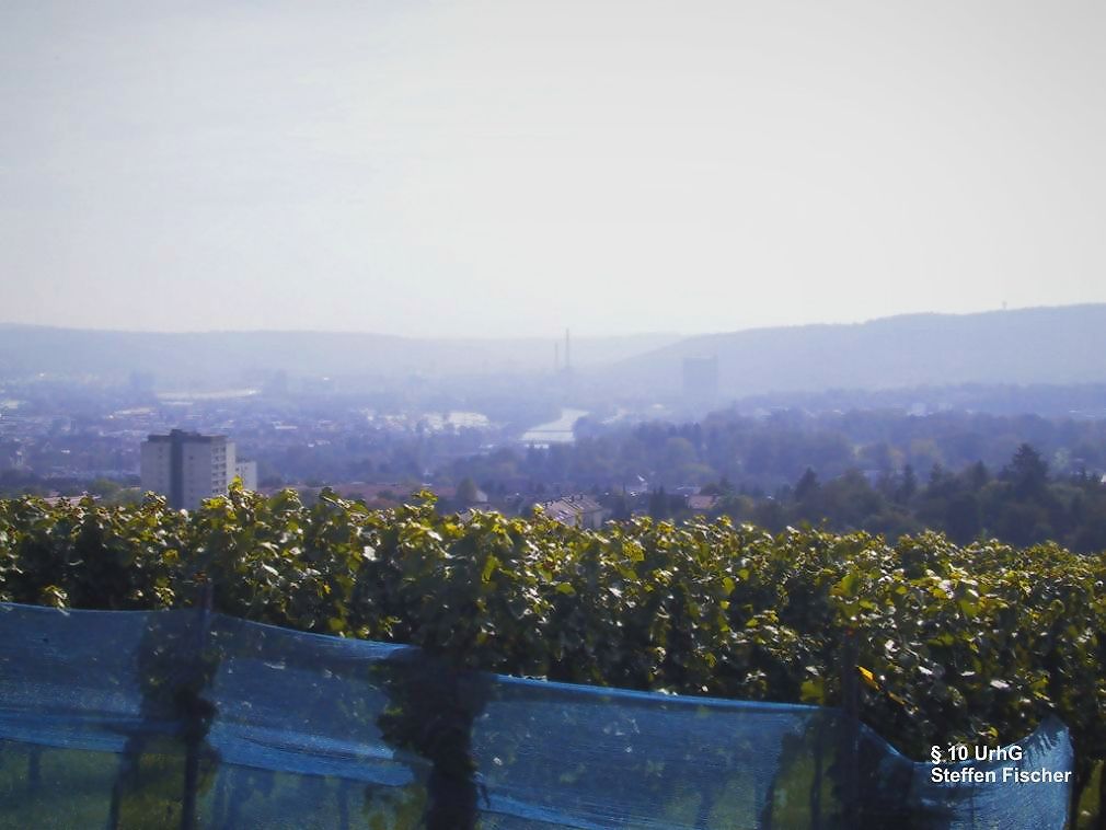 Aussichtspunkt Burgholzhof Plattform