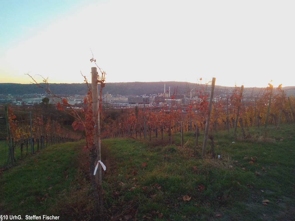 Aussichtspunkt Kreutelstein