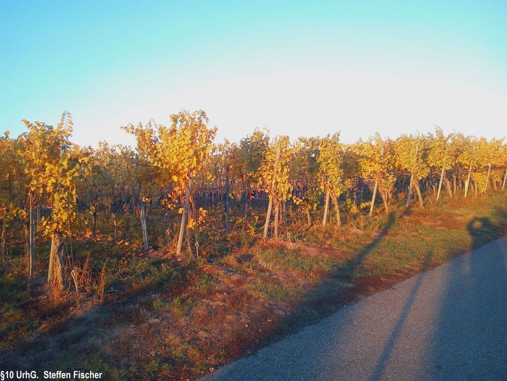 Aussichtspunkt Kreutelstein