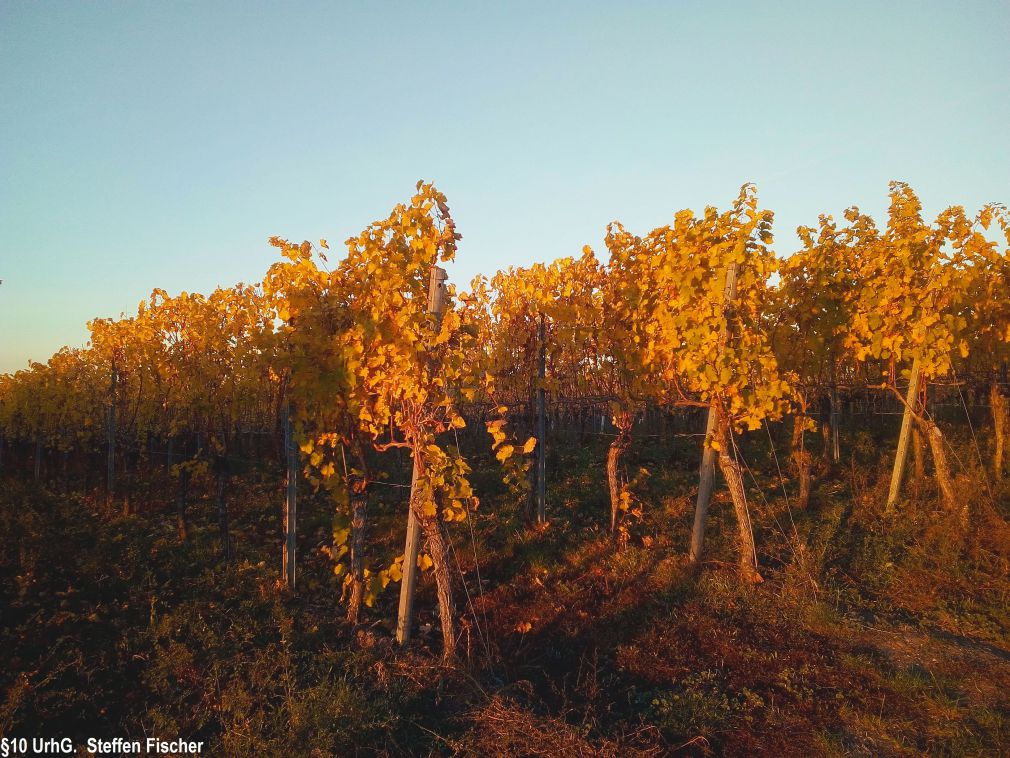 Aussichtspunkt Kreutelstein
