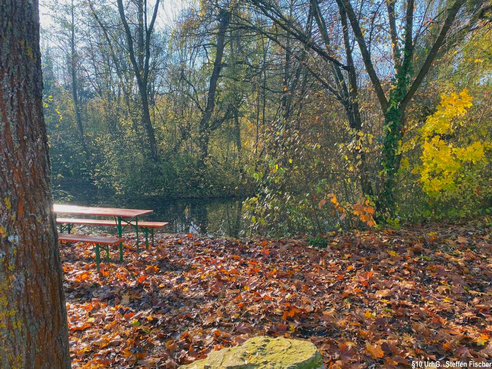 Gr�nanlage Belauweiher