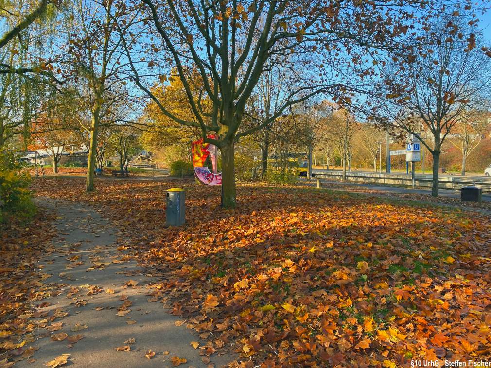 Gr�nanlage Belauweiher