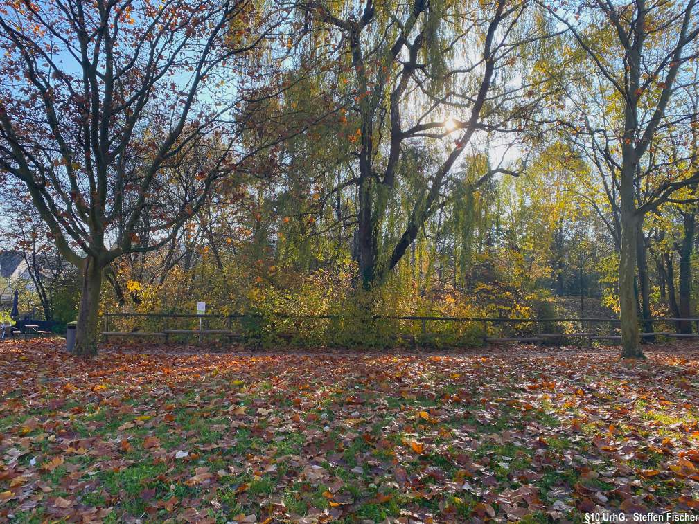 Gr�nanlage Belauweiher