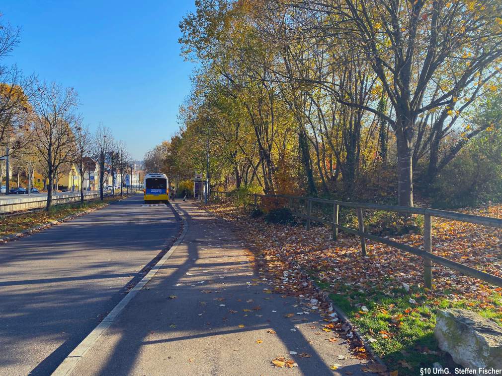 Gr�nanlage Belauweiher