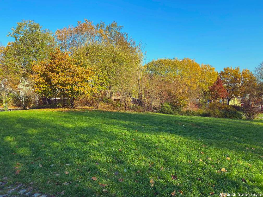 Gr�nanlage Belauweiher