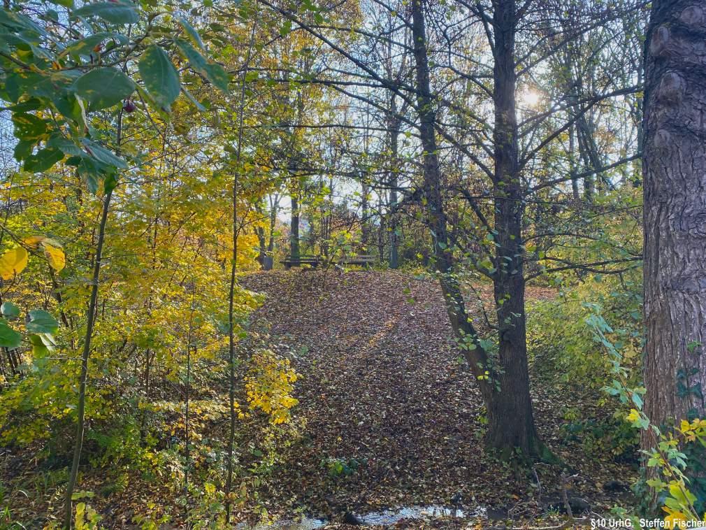 Gr�nanlage Belauweiher