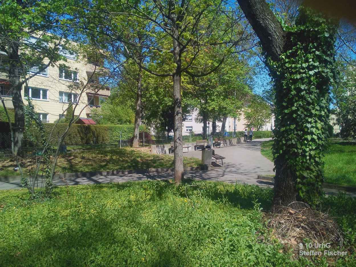 Gr�nanlage Decker/Taubenheimerstrstr.