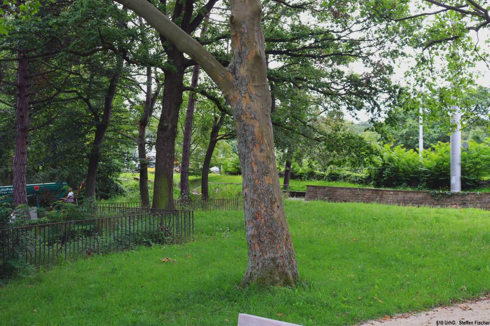 Gr�nanlage Geroksruhe