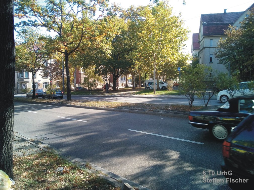 Gr�nanlage Rotenwald-Reinsburgstrasse