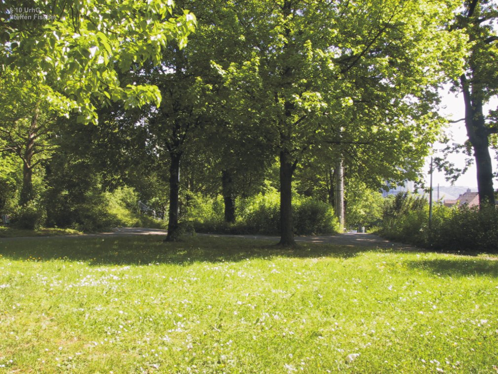 Gr�nanlage Raitelsberg