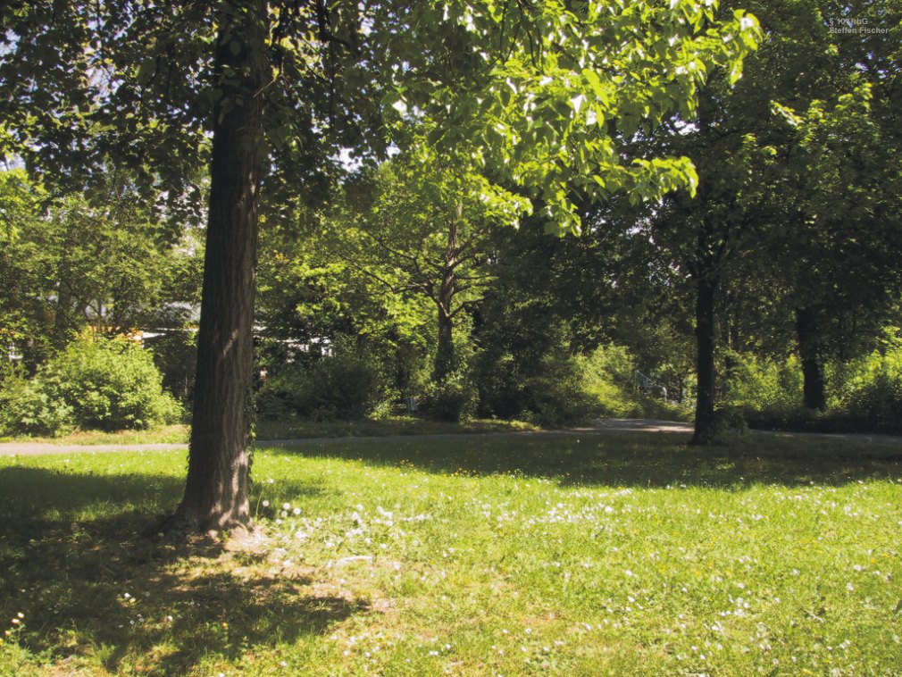 Gr�nanlage Raitelsberg