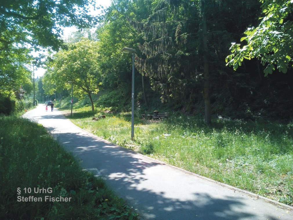 Gr�nanlage Wangener Strasse