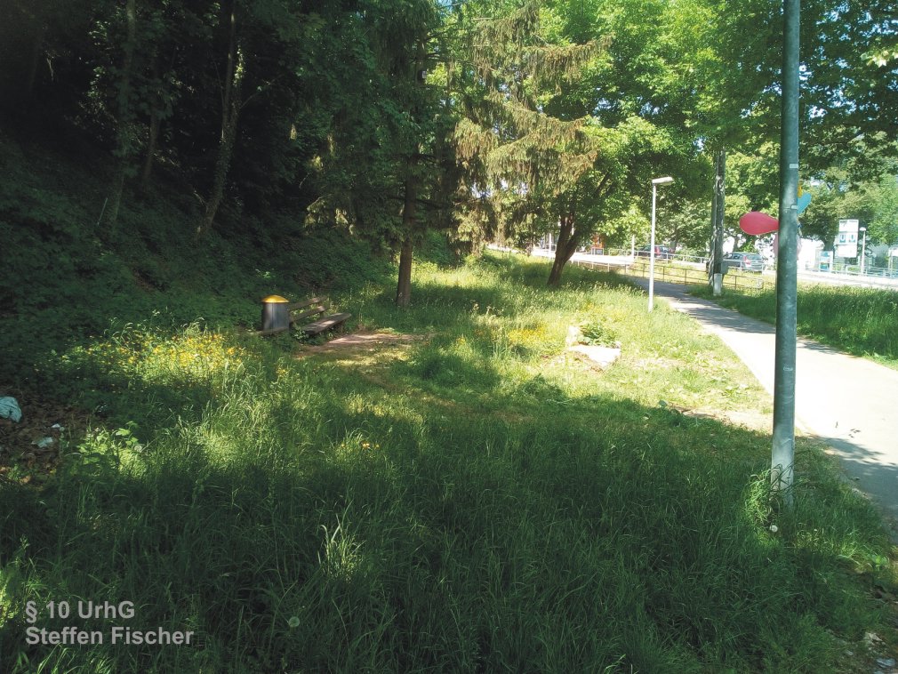 Gr�nanlage Wangener Strasse