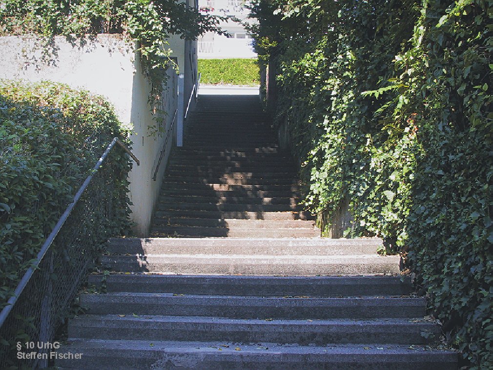 Treppe Ameisenbergstaffel