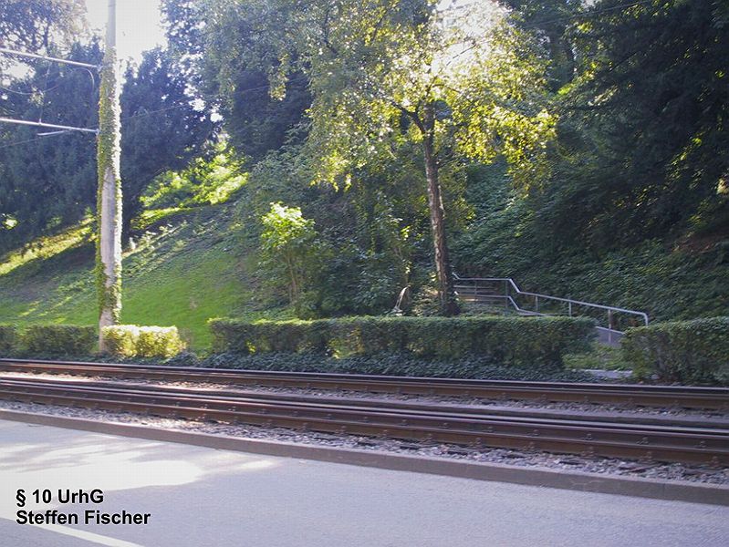 Wangener-Comburg-Staffel