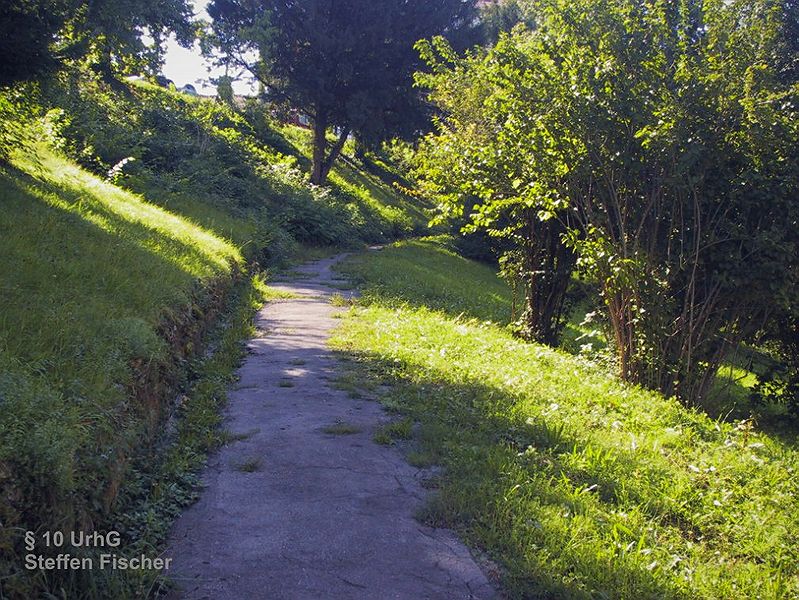 Wangener-Comburg-Staffel